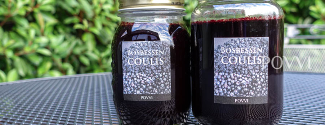 Bilberry coulis DSC01589