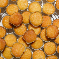 Citrónové slniečka DSC01807