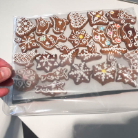 Verzend koekjes als een pro IMG 1499