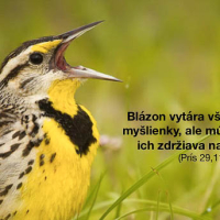 Múdry nás privádza k Bohu Blazon
