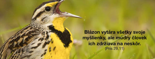 Múdry nás privádza k Bohu Blazon