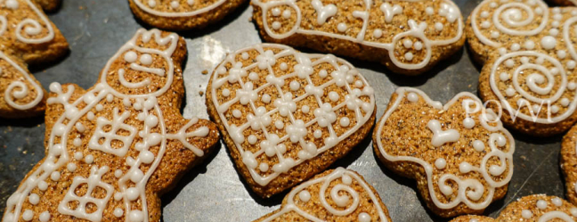 Gluten Free Honey Cookies ® DSC03021