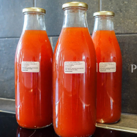 Šípkovo – pomarančové Coulis DSC03688