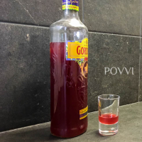 Sleedoorn gin IMG 8164 2 2 1