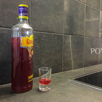 Trnkový Gin IMG 8165 2